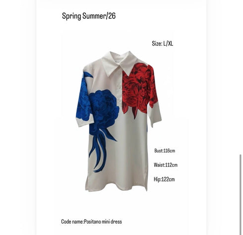 Eirianna The Brand - Positano Mini Dress